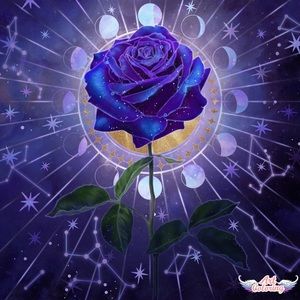 Meet your Posher, Brode